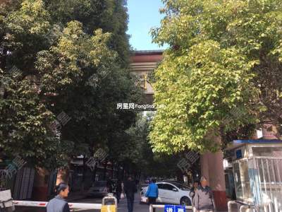 3室2廳 怡園小區(qū)