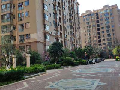 1室1廳1陽(yáng)臺(tái) 西南海泰和苑