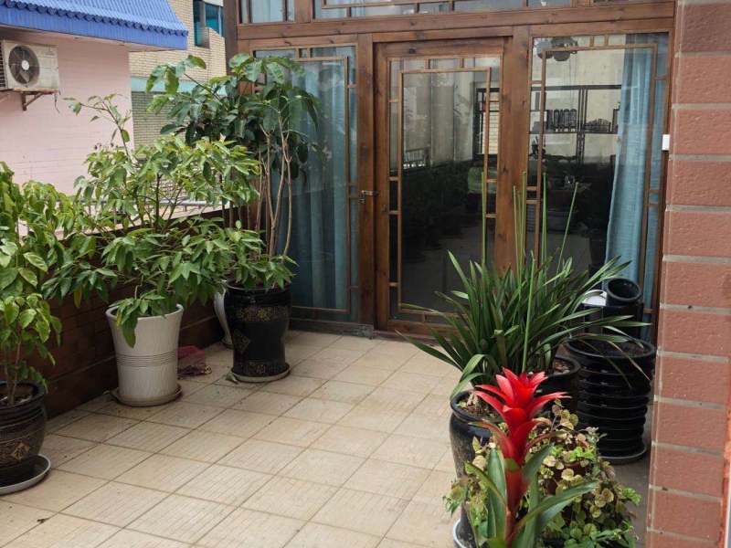 9室3廳2陽臺(tái) 鑫苑小區(qū)別墅客廳