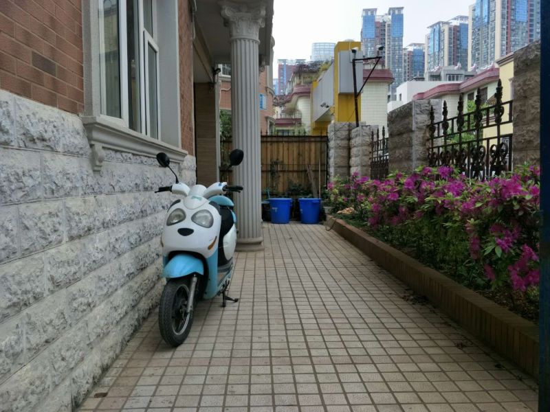 9室3廳2陽臺(tái) 鑫苑小區(qū)別墅客廳