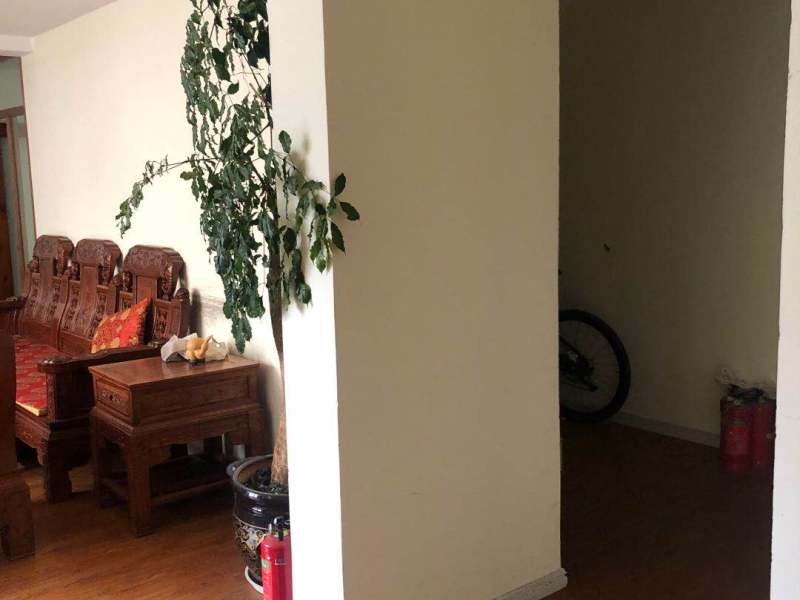 9室3廳2陽臺(tái) 鑫苑小區(qū)別墅客廳