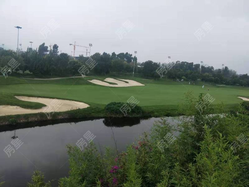 5室3廳4陽臺 滇池高爾夫別墅別墅戶型圖