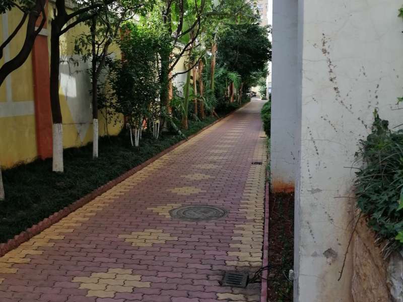 1室1廳1陽臺(tái) 桂華新園其他