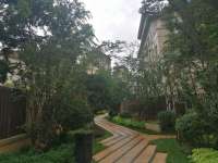 5室3廳 綠地海珀瀾庭別墅其他