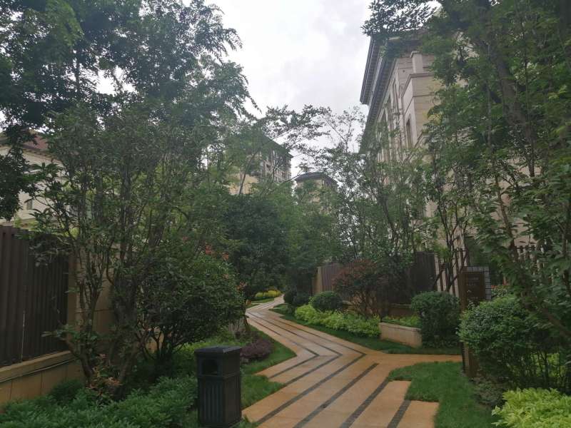 5室3廳 綠地海珀瀾庭別墅其他