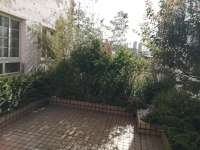 1室1廳1陽臺(tái) 桂華新園其他