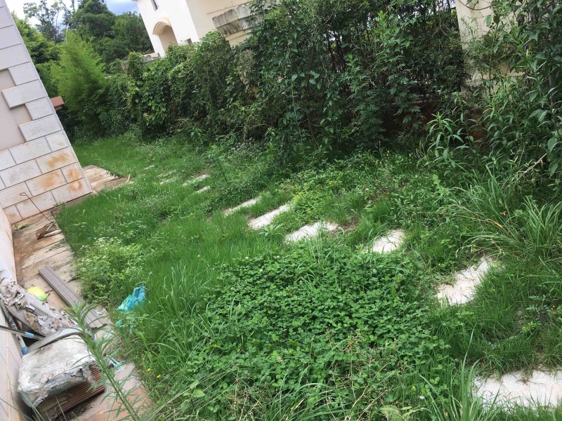 6室2廳3陽臺 黃金海岸別墅別墅自家花園