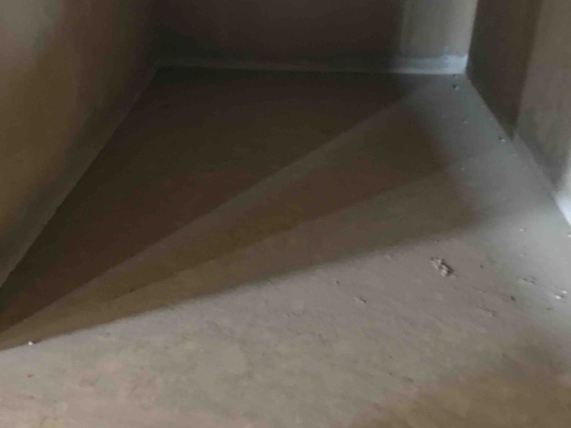 5室2廳2陽臺 平和花園臥室