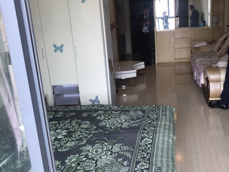 1室1廳1陽臺 天怡峰景戶型圖