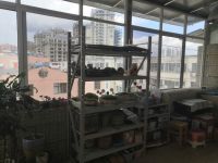 6室2廳1陽(yáng)臺(tái) 白龍新區(qū)其他