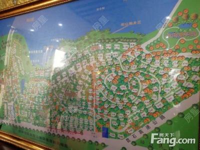 6室3廳2陽臺 世林國際別墅客廳