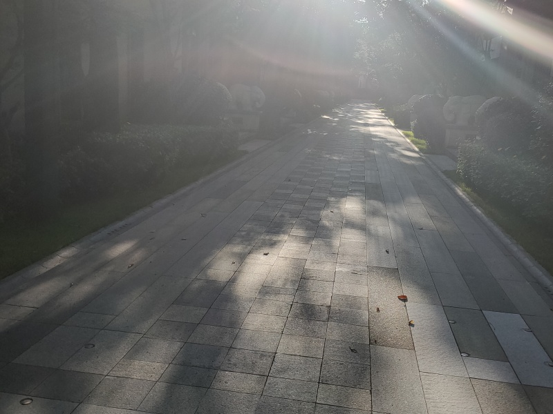 7室4廳5陽臺 華夏御府天璟灣別墅客廳