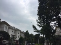 5室4廳5陽臺 海韻楓丹別墅其他