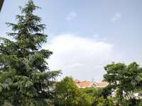 6室2廳3陽臺 黃金海岸別墅別墅臥室