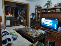 2室2廳1陽臺 時代年華錦華苑客廳