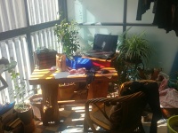 3室2廳2陽臺 巴士西苑客廳