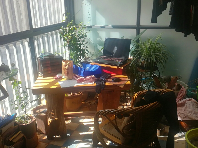 3室2廳2陽臺 巴士西苑客廳