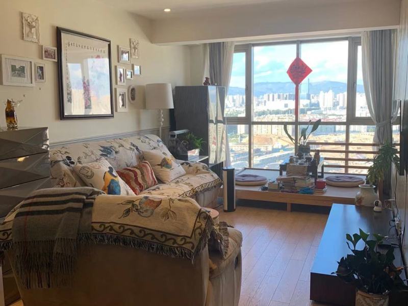 3室2廳1陽臺 同德昆明廣場上北區(qū)客廳