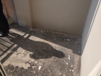 4室2廳2陽臺 滇池花園別墅戶型圖