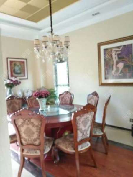 5室3廳4陽(yáng)臺(tái) 滇池高爾夫別墅別墅其他