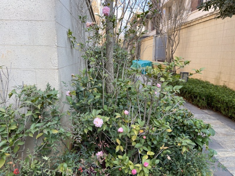 8室4廳2陽臺 昆明恒大云璽別墅其他