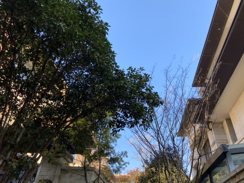 8室4廳2陽臺 昆明恒大云璽別墅其他