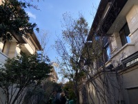 8室4廳2陽臺 昆明恒大云璽別墅其他