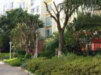 4室2廳1陽臺 福苑小區(qū)（滇池路）其他