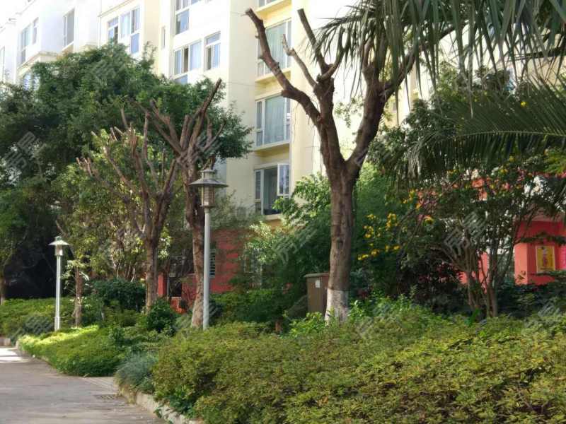 4室2廳1陽臺 福苑小區(qū)（滇池路）其他