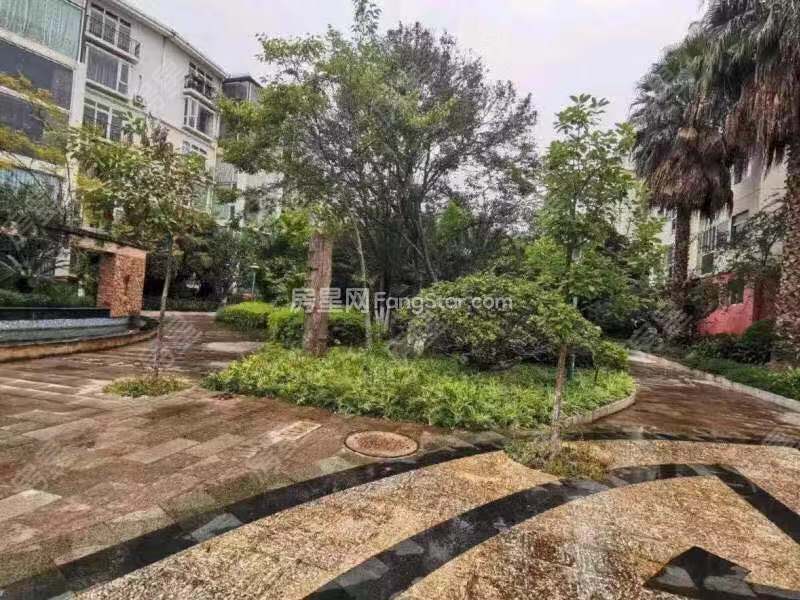 4室2廳1陽臺 福苑小區(qū)（滇池路）其他