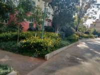 4室2廳1陽臺 福苑小區(qū)（滇池路）客廳