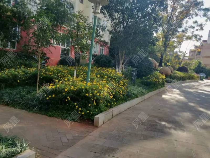 4室2廳1陽臺 福苑小區(qū)（滇池路）客廳