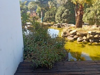 5室3廳3陽臺 世博生態(tài)城博園鄰里別墅戶型圖