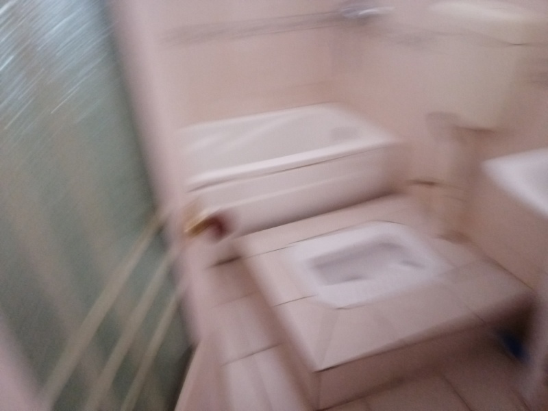 3室2廳1陽臺 佳湖花園客廳