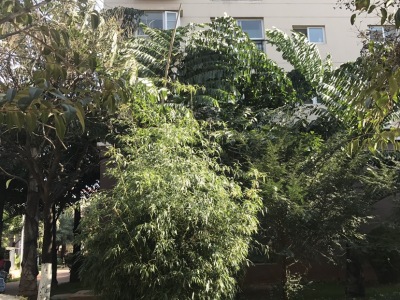 3室2廳2陽臺 欣和居