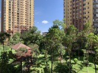 4室2廳2陽臺 未名城A3其他