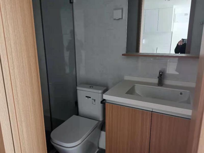 1室1廳 龍湖聽藍(lán)半島公寓衛(wèi)生間