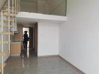 1室1廳 龍湖聽藍(lán)半島公寓客廳