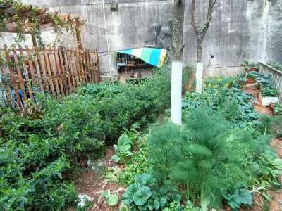 5室2廳4陽(yáng)臺(tái) 城市山別墅戶型圖