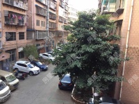 4室2廳1陽臺 中成花園客廳