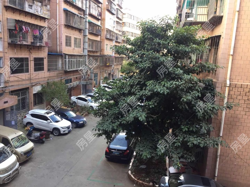 4室2廳1陽臺 中成花園客廳