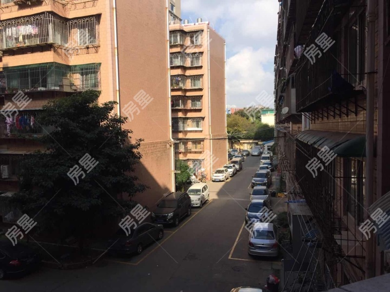 4室2廳1陽臺 中成花園客廳