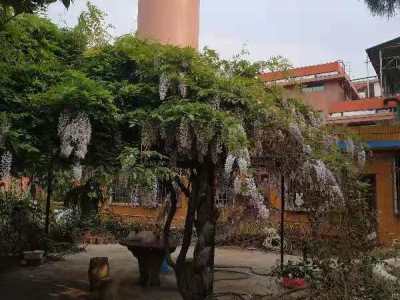 2室1廳2陽(yáng)臺(tái) 高峣冷水塘