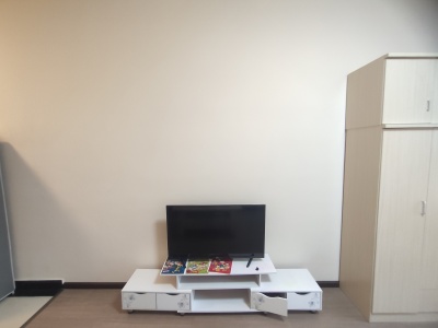 1室1廳1陽臺 未名城A6