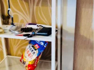 1室1廳1陽臺 金帝富士商住樓