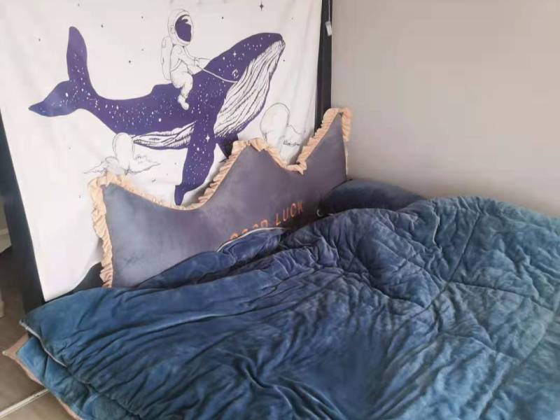 2室2廳1陽臺 小城故事臥室