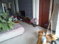 2室2廳1陽臺(tái) 華飛名盛世界客廳