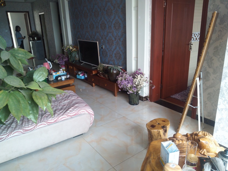 2室2廳1陽臺(tái) 華飛名盛世界客廳