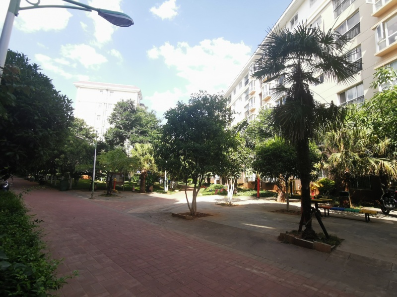 5室2廳2陽臺 欣和居其他