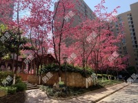 3室2廳2陽(yáng)臺(tái) 銀海領(lǐng)域戶型圖